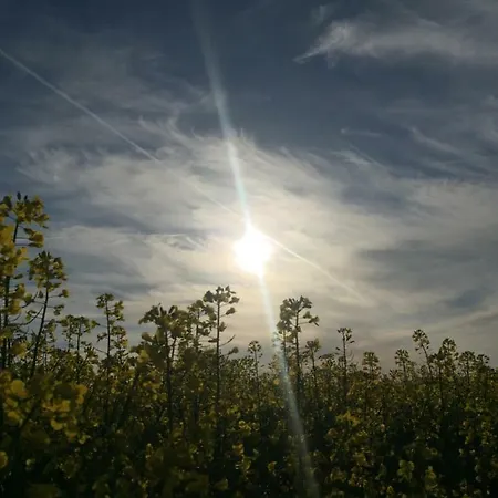 Fewo Schiffner شقة *