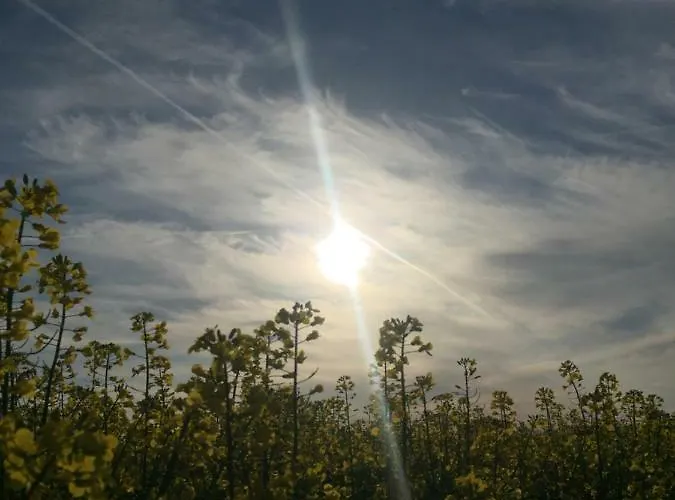 Fewo Schiffner شقة *